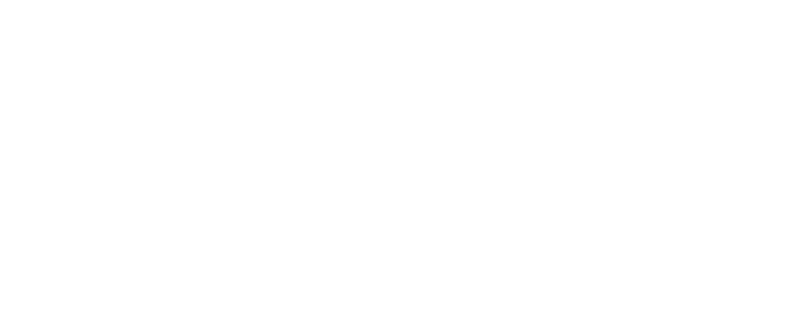 fibria